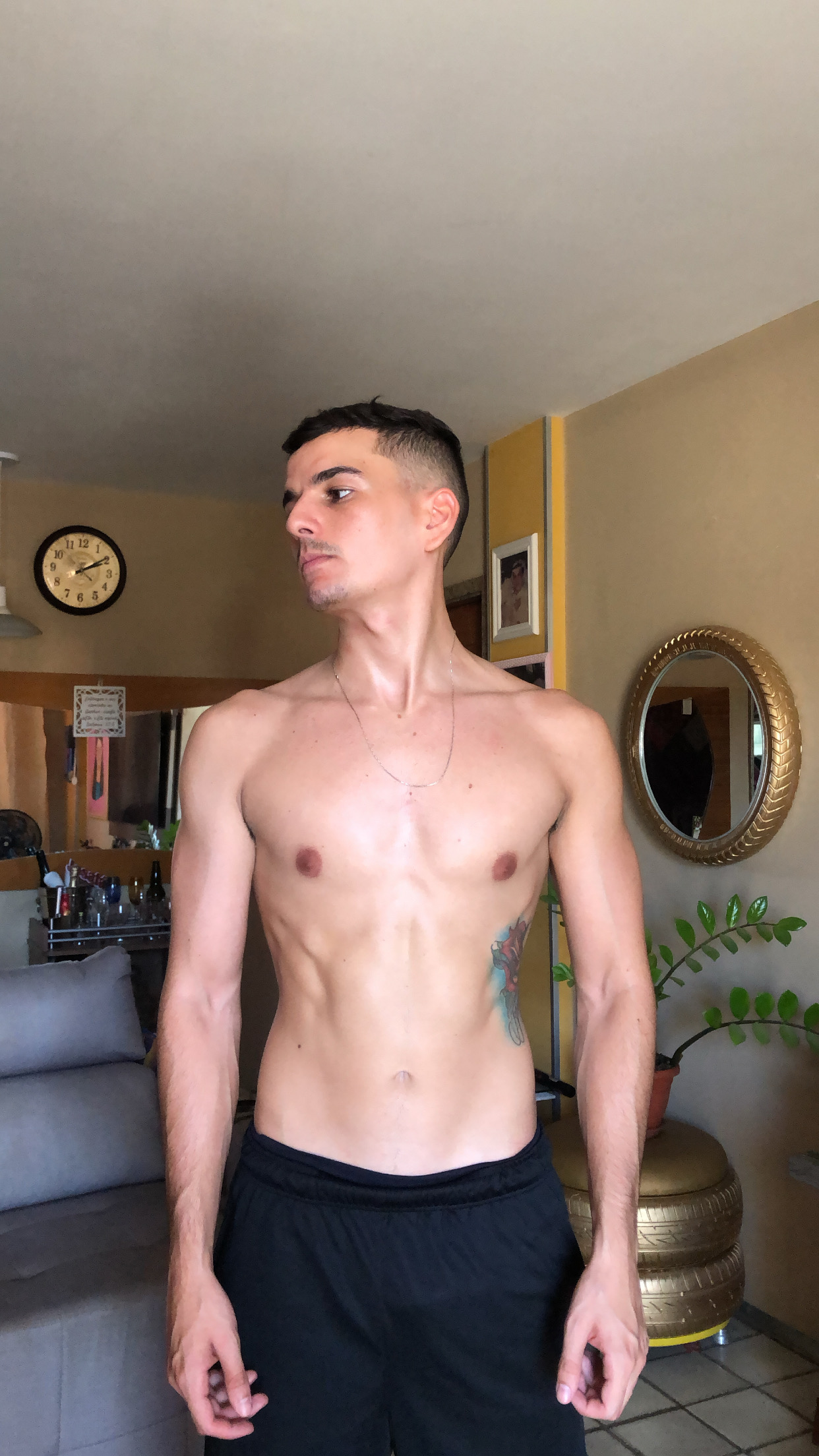 imagemjardel